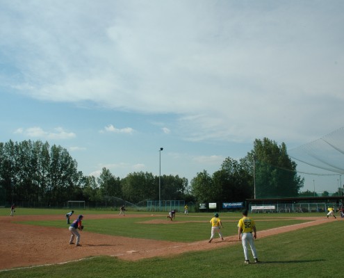 Baseballverein Grasshoppers - dydocon